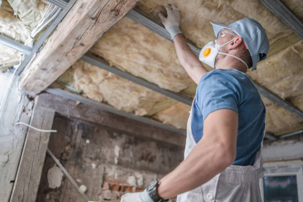 Best Residential Insulation Services  in Parma, OH