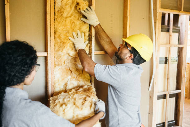 Insulation Replacement Services in Parma, OH